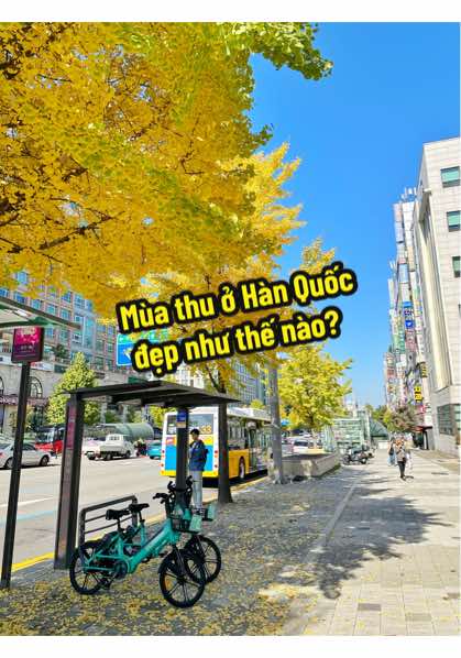 @WirLink Việt Nam