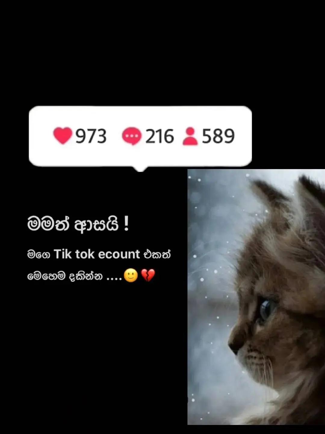 @nipuwa_editz_1