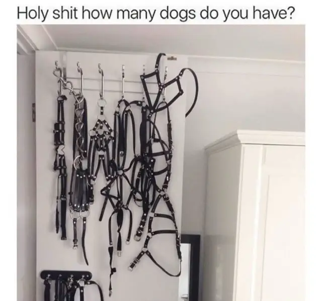 @Teej