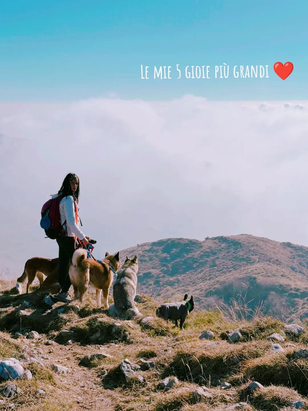 @Giulia Trappa