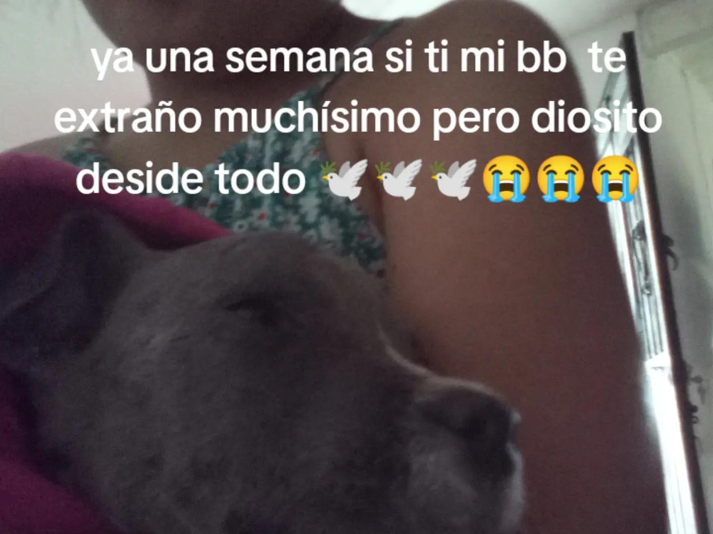 @Annette Lopez