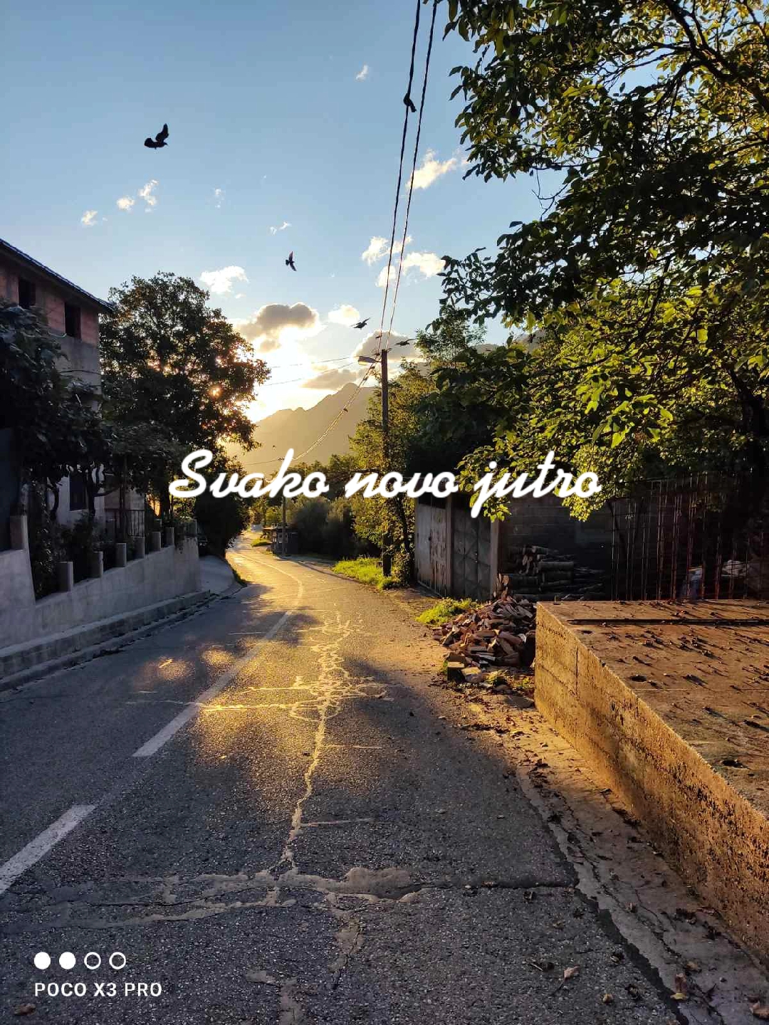 @Drežnica