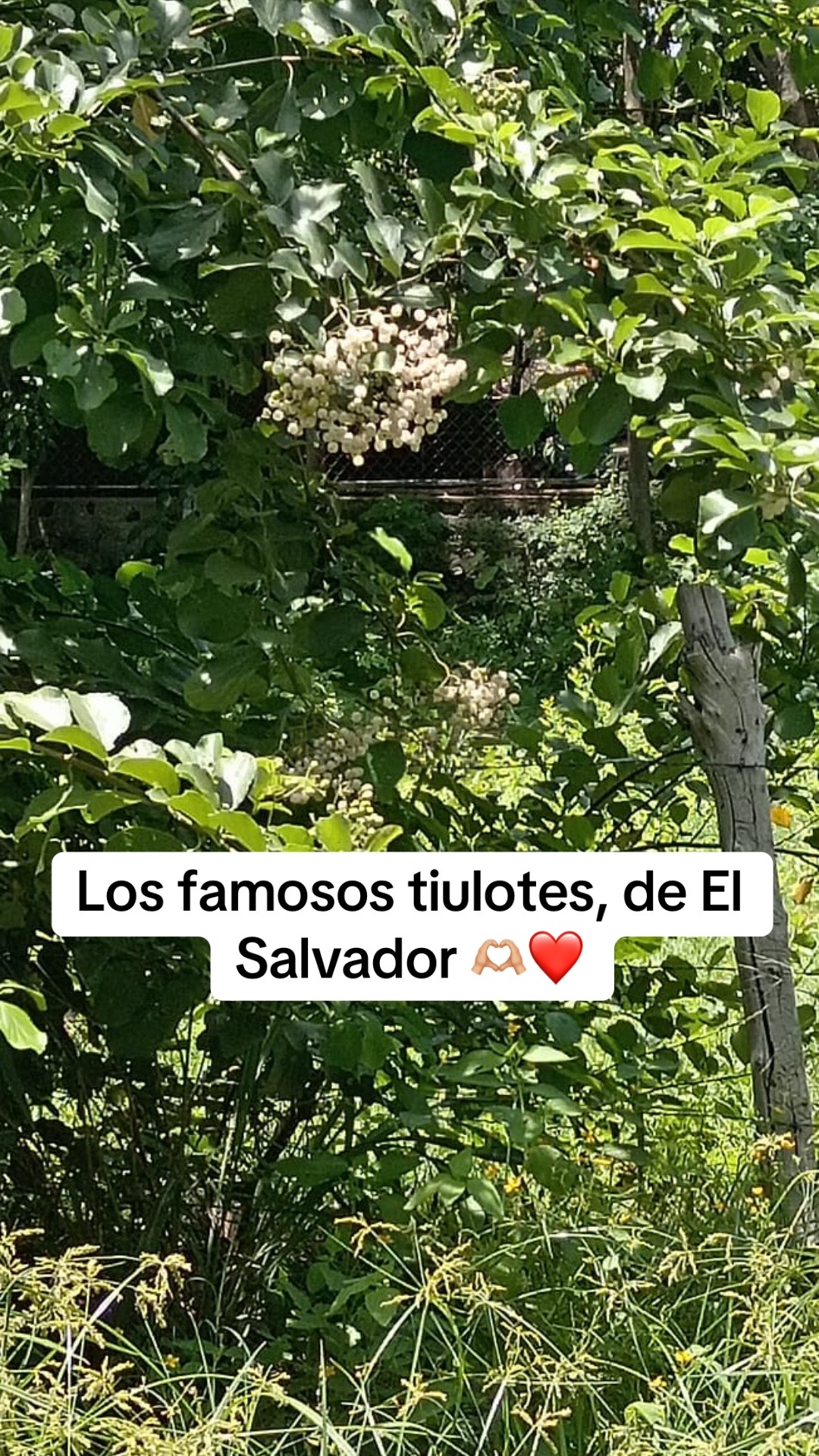 @E💲🌀u777♦️🇸🇻LA🇺🇸