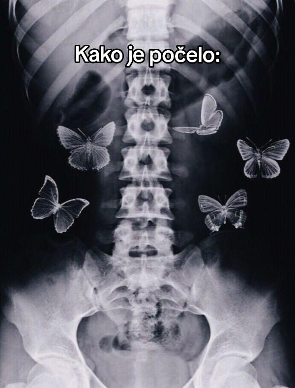 @kandem