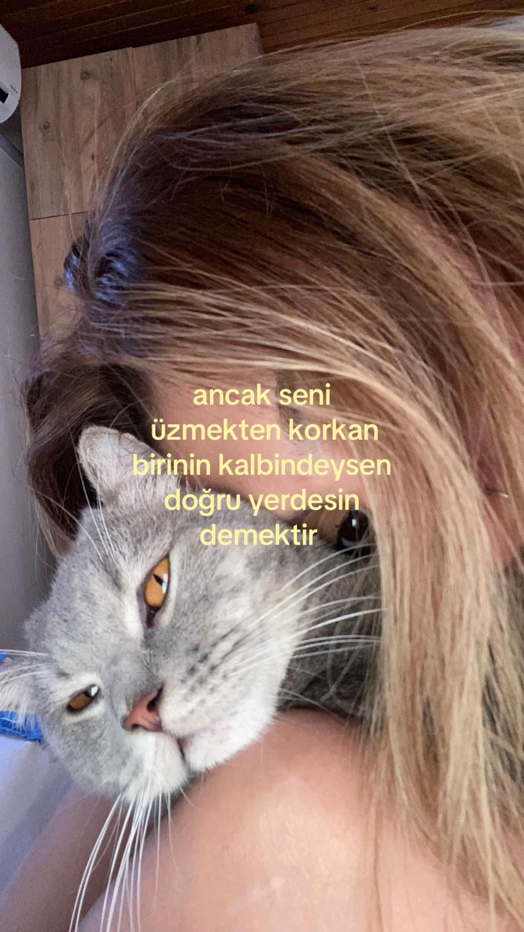 @ceren ela
