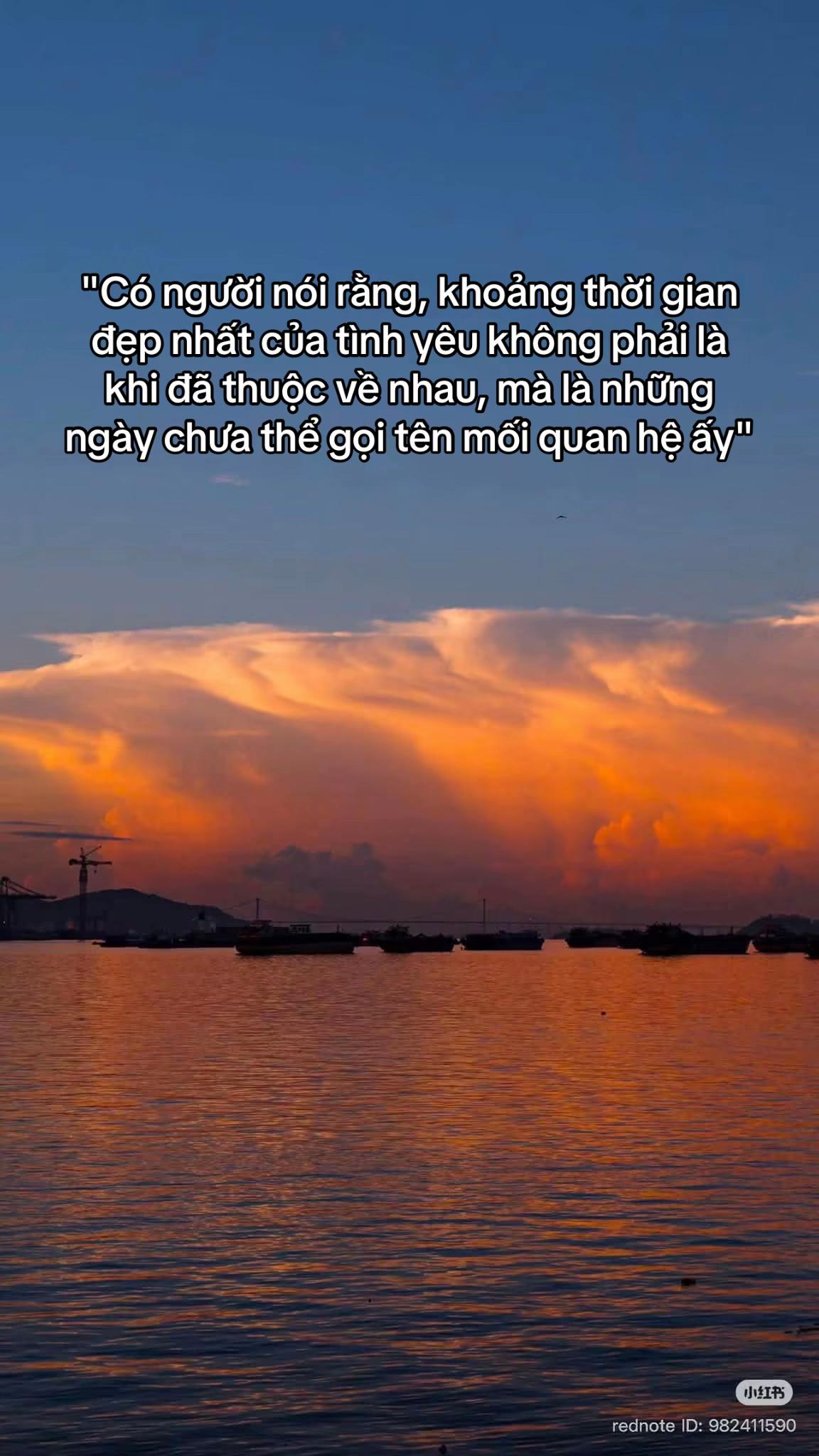 @Nozy