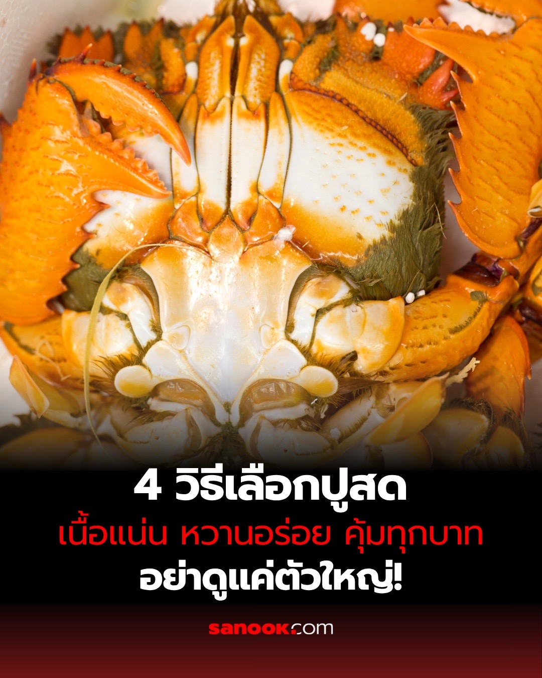 @sanook.com
