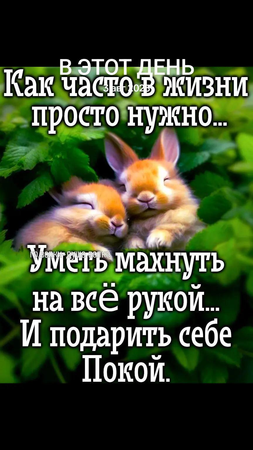 @erjan_talas