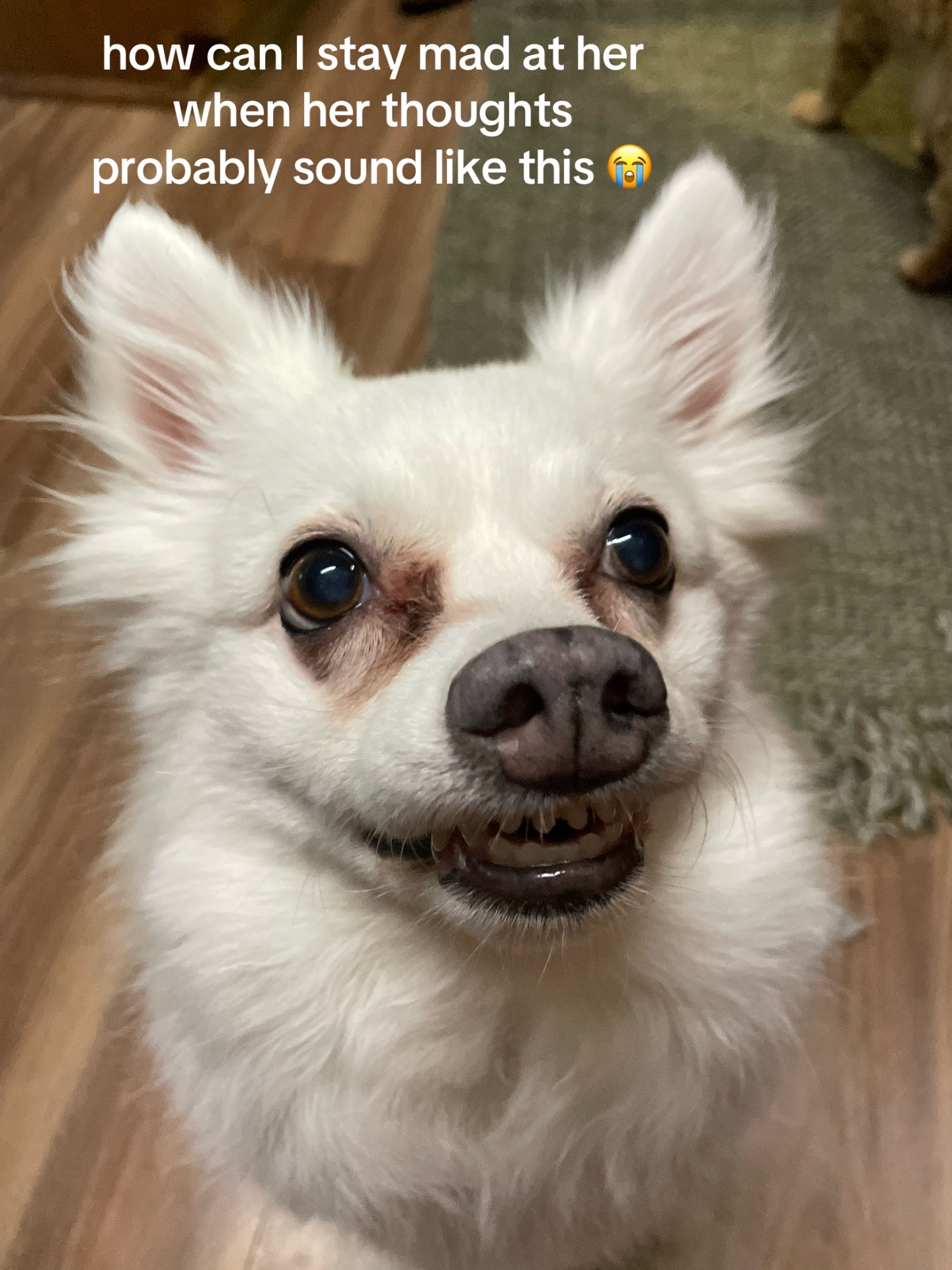 @KT
