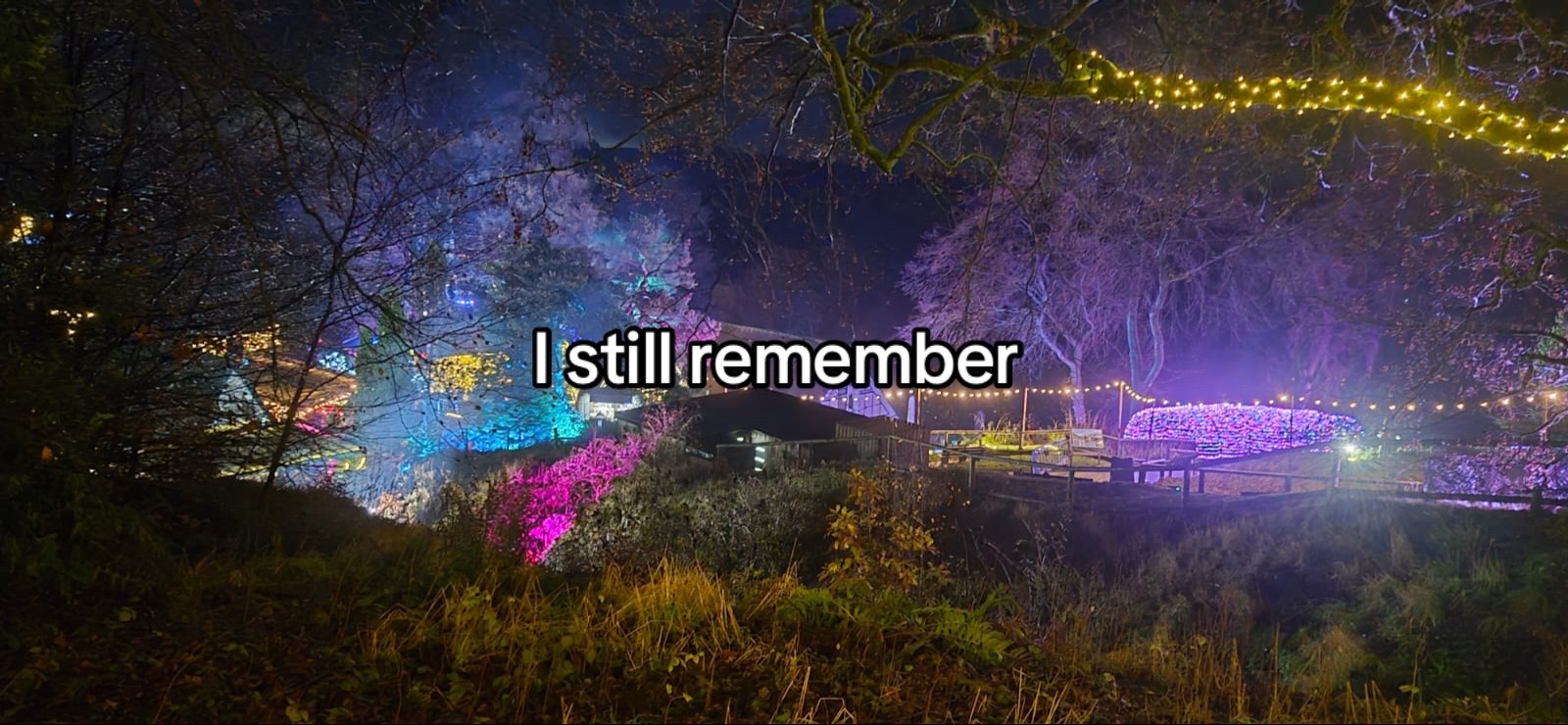 @💙Henryandbransonhugfan🩵
