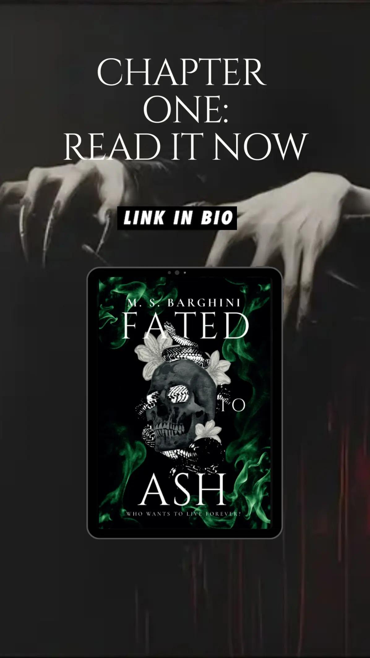 @MS Barghini | Author