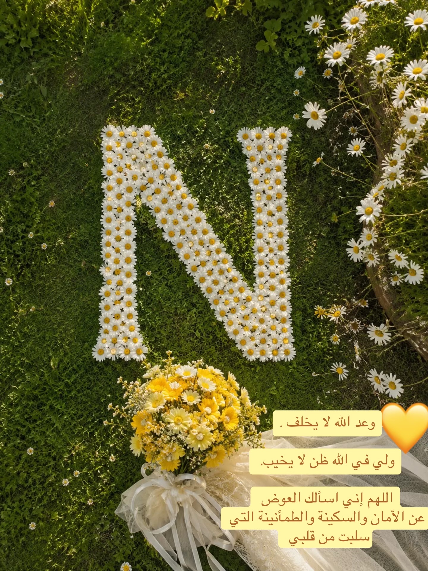 @Noor Aljbawi