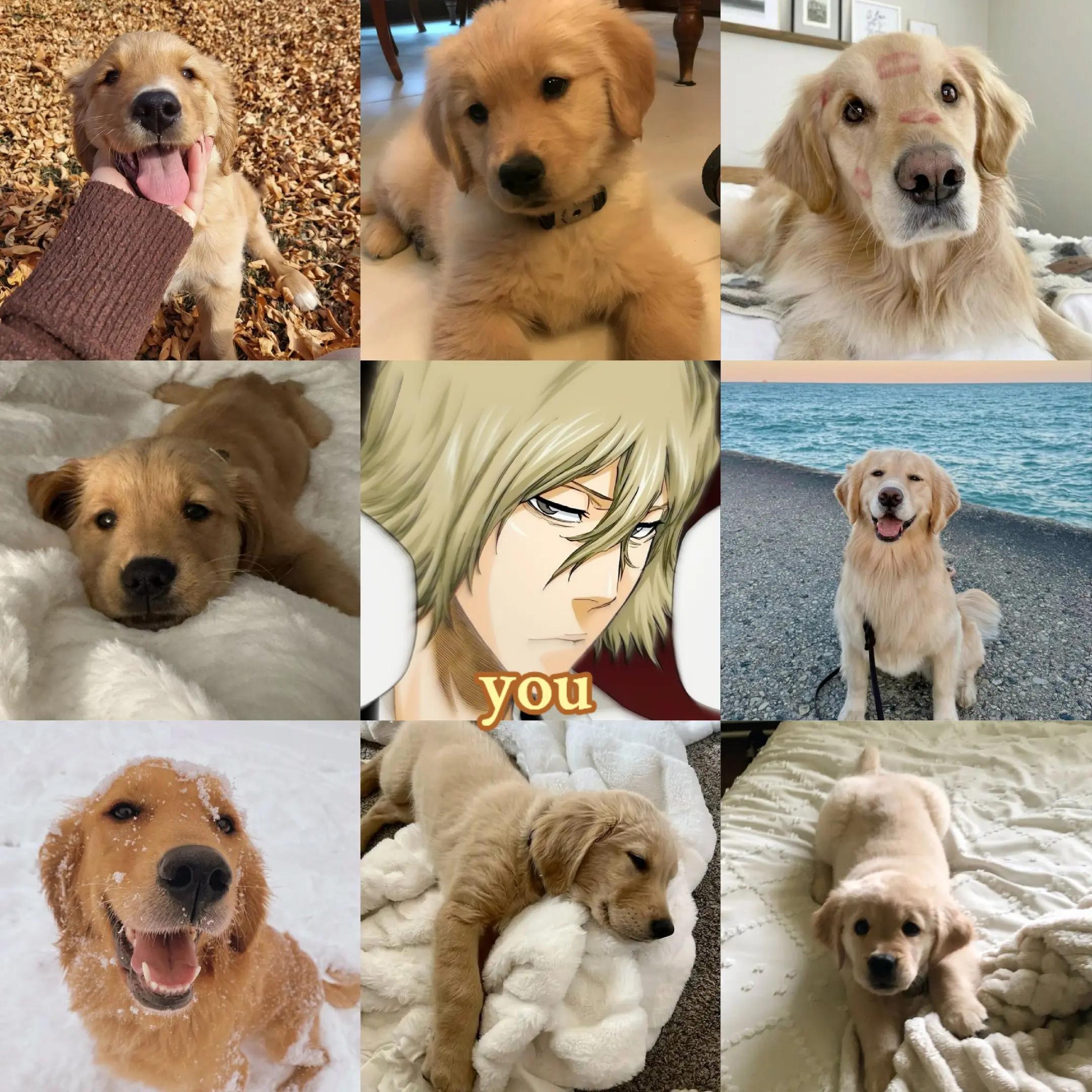 @๐๐ค๐๐ง๐จ
