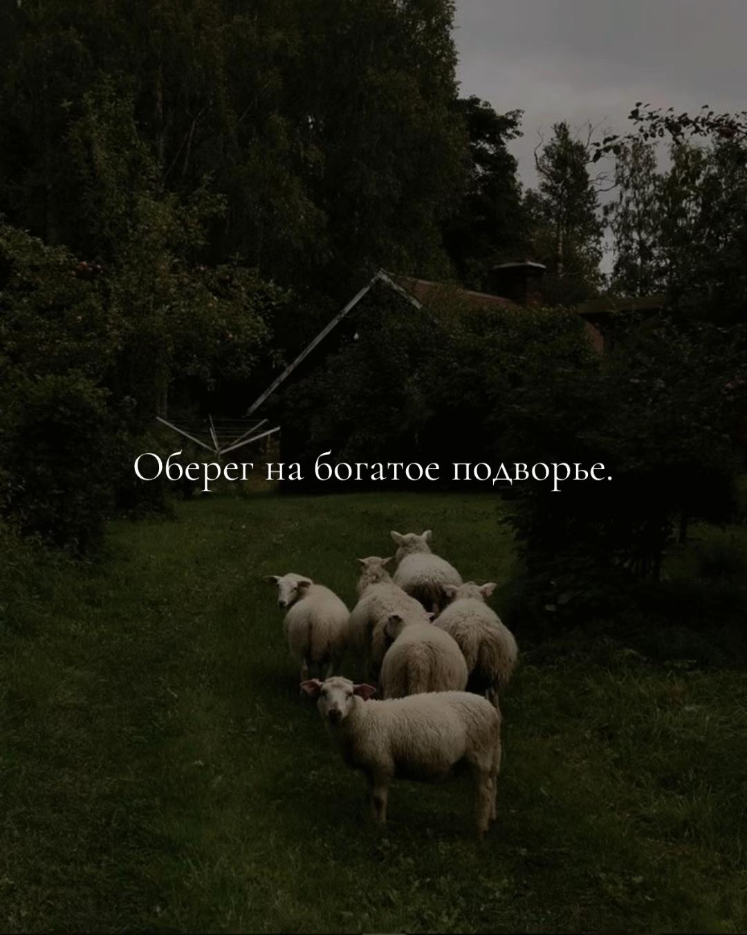 @ᚾ𝐀𝐍𝐀𝐒𝐓𝐀𝐒𝐈𝐘𝐀ᚾ