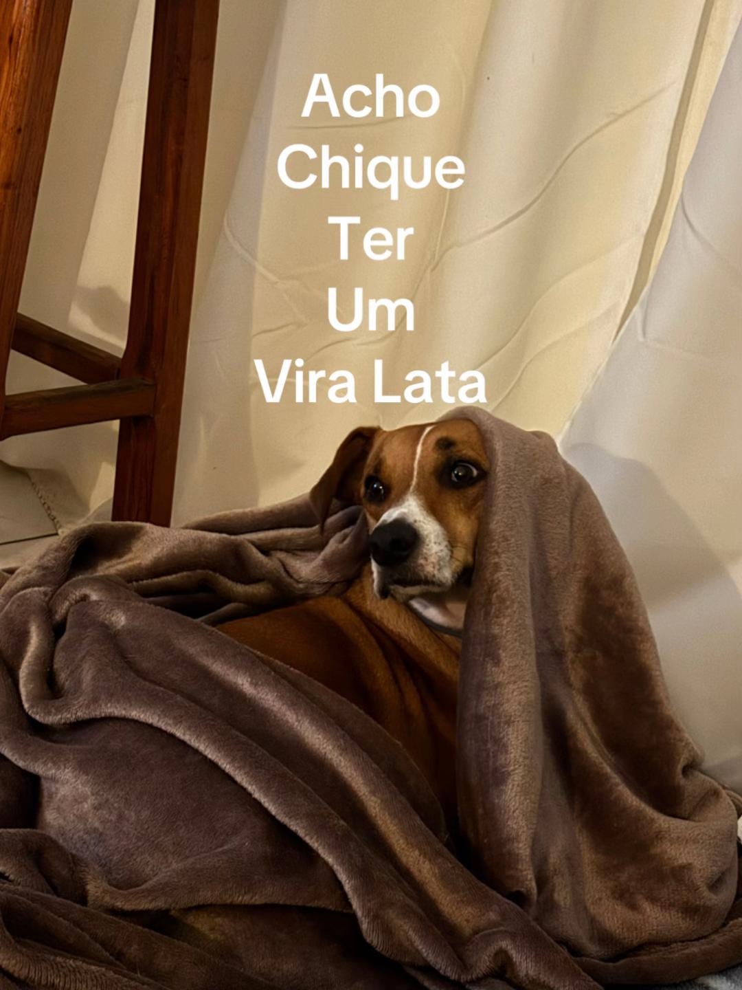 @Pacoserelepe