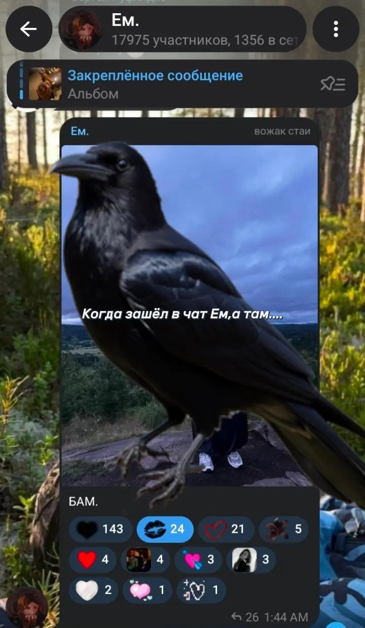 @Варвара Петрович фан.