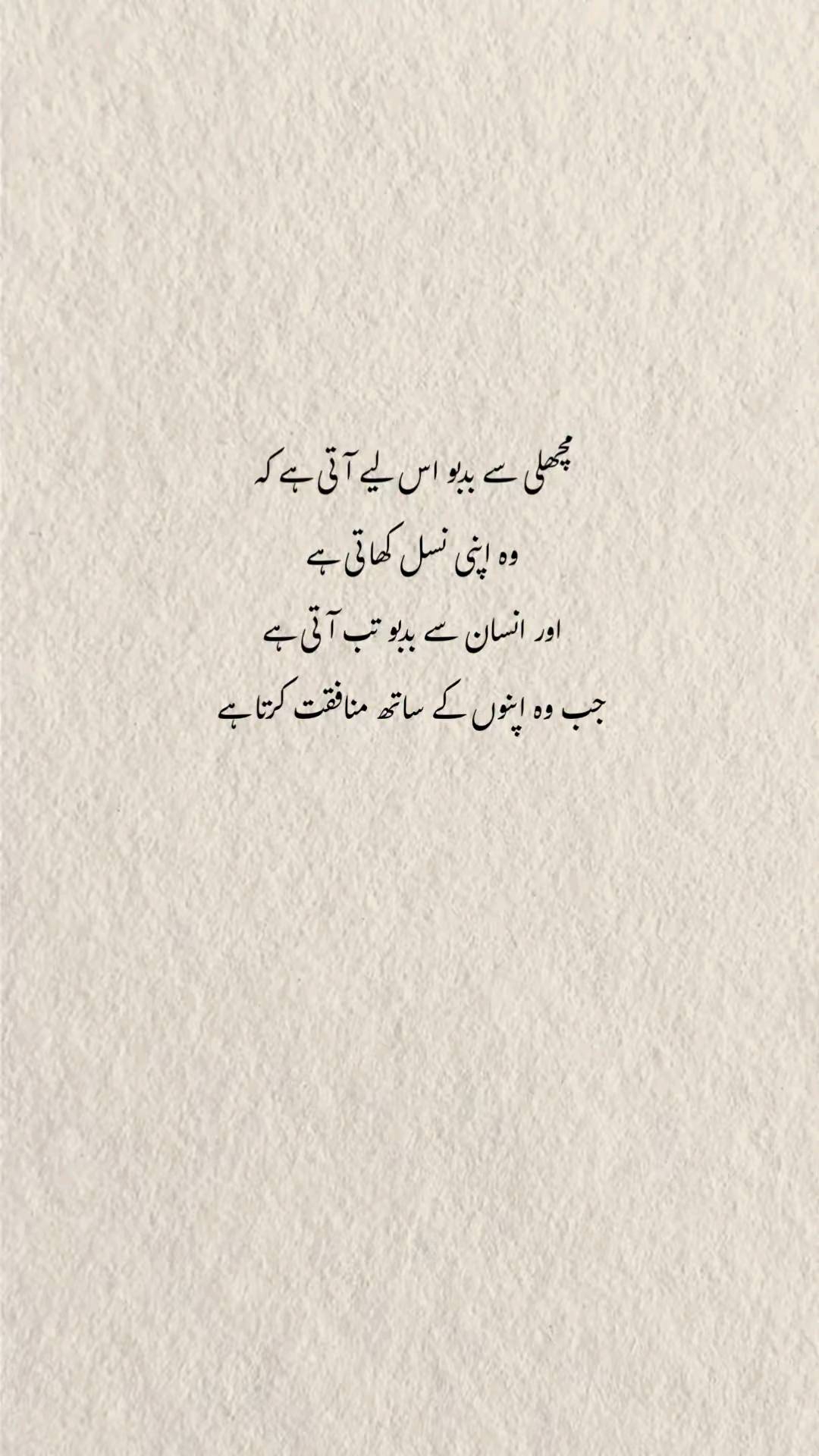 @Waleed Arshad