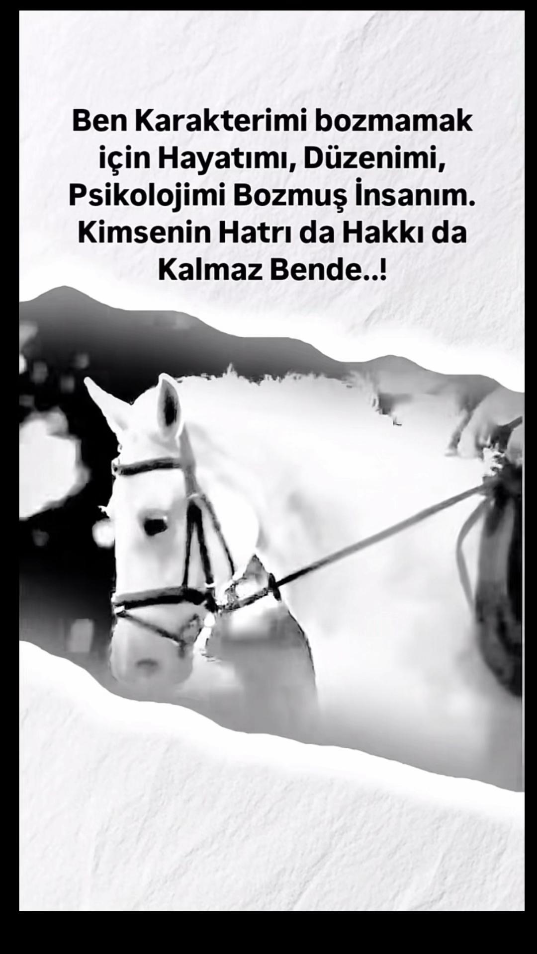 @Murat Çınar