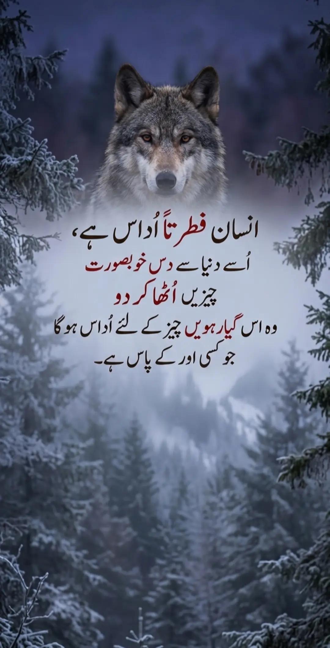 @Syed 804