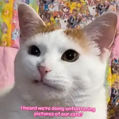 @👁👄👁 Cursed N' Kawaii 🌈🌟💕