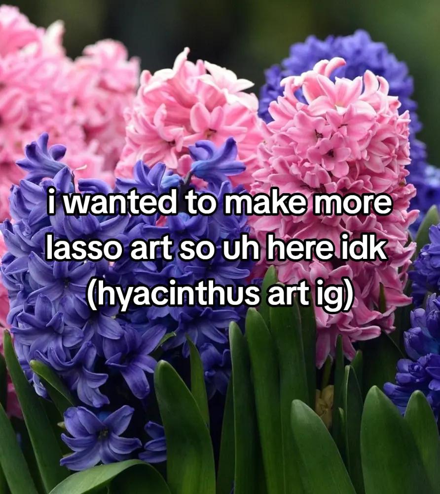 @Ky⋆🏳️&zwj;⚧️&deg;