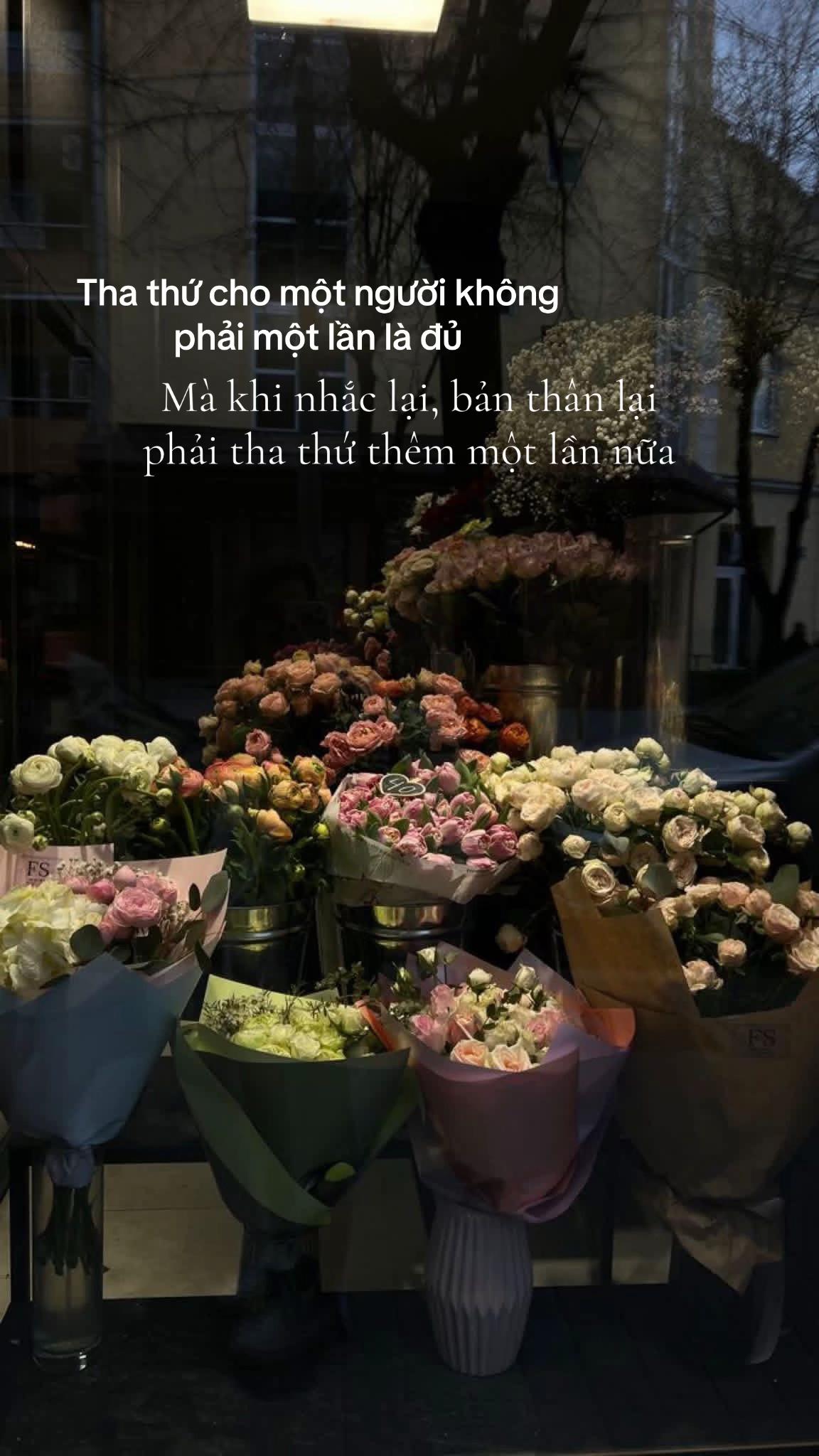 @Hồng Như