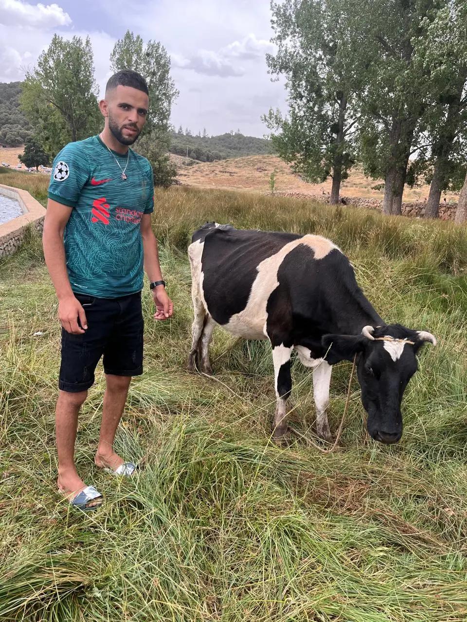 @Mč Çrâïżý