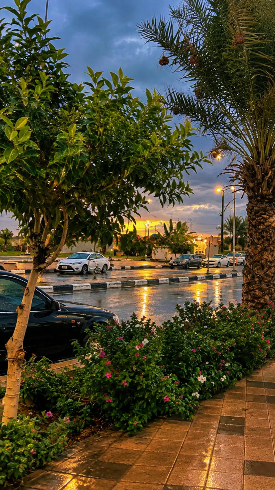 @هـيروو||📸"ᵉᶦ''