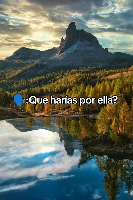 @soyedi11