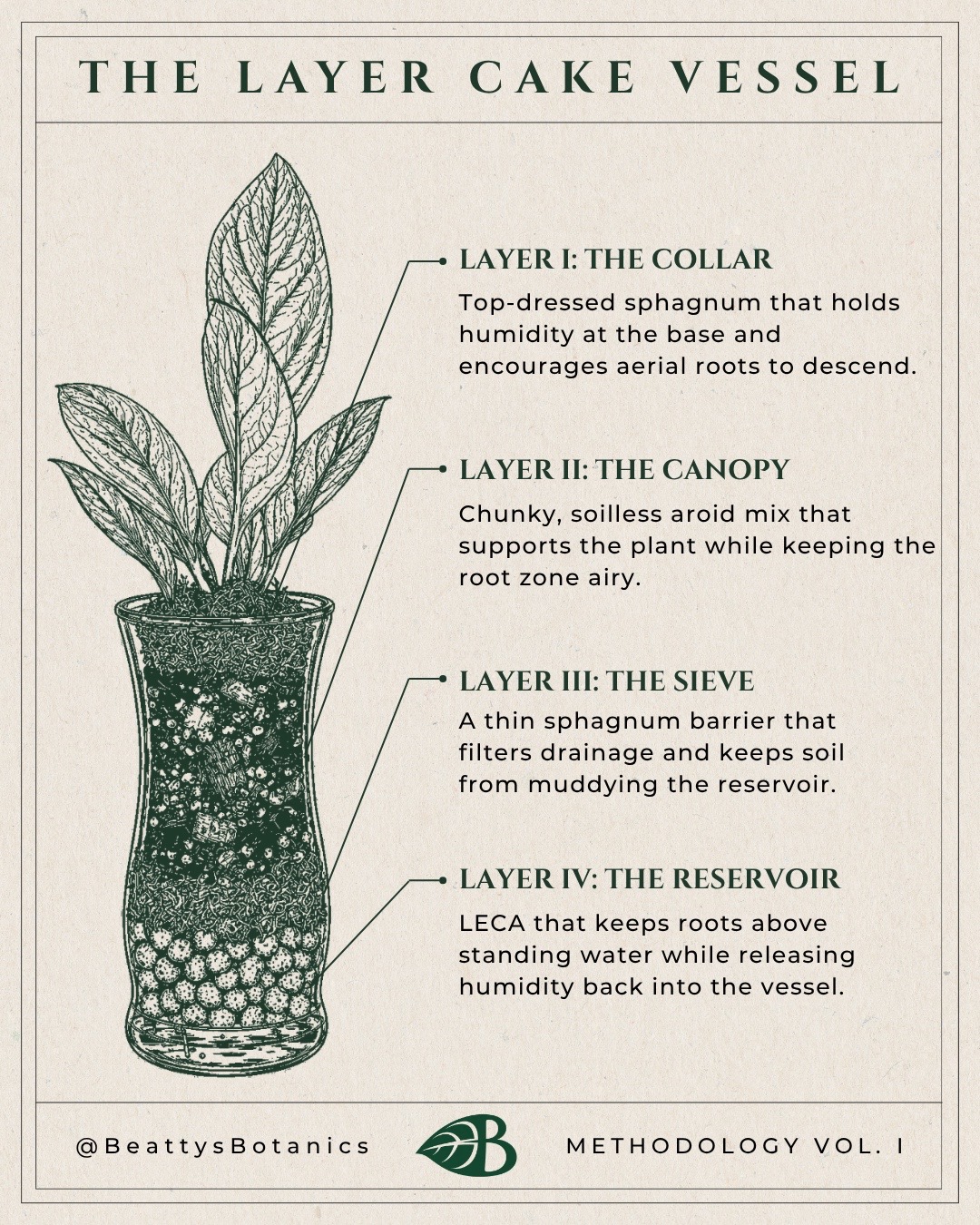 @🌱yler✨Beatty&rsquo;s Botanics