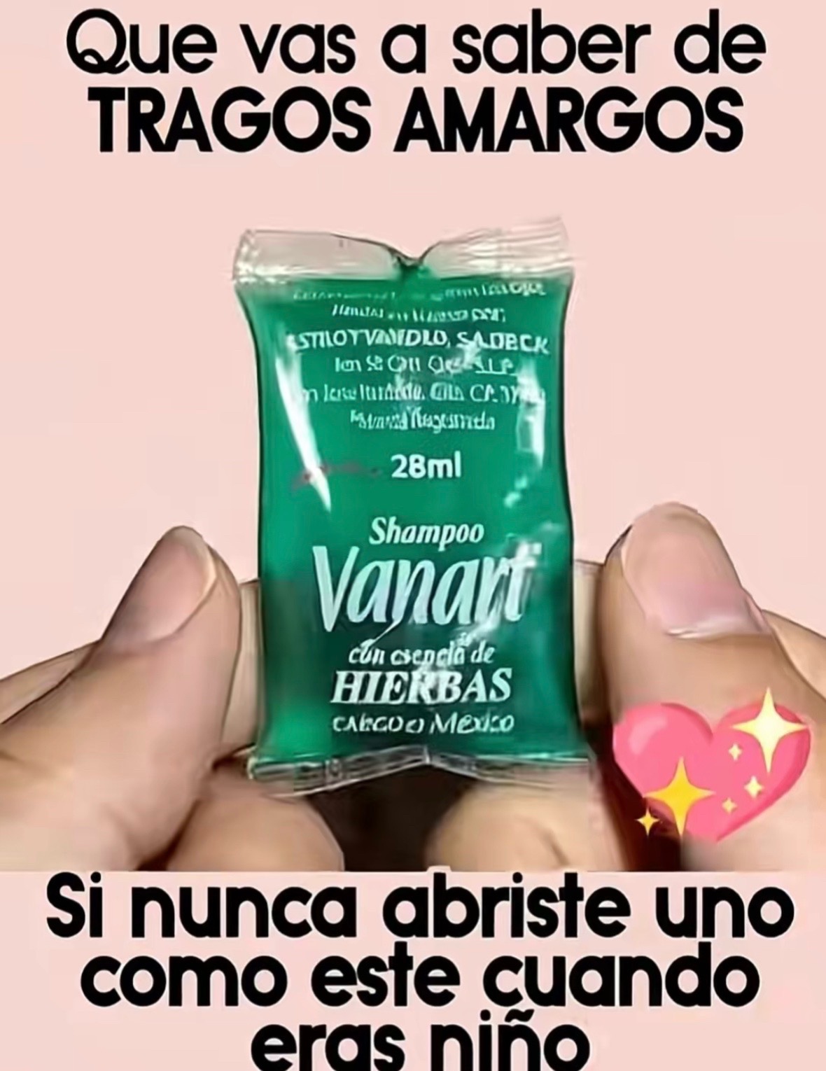 @Araceli Mireles 💙