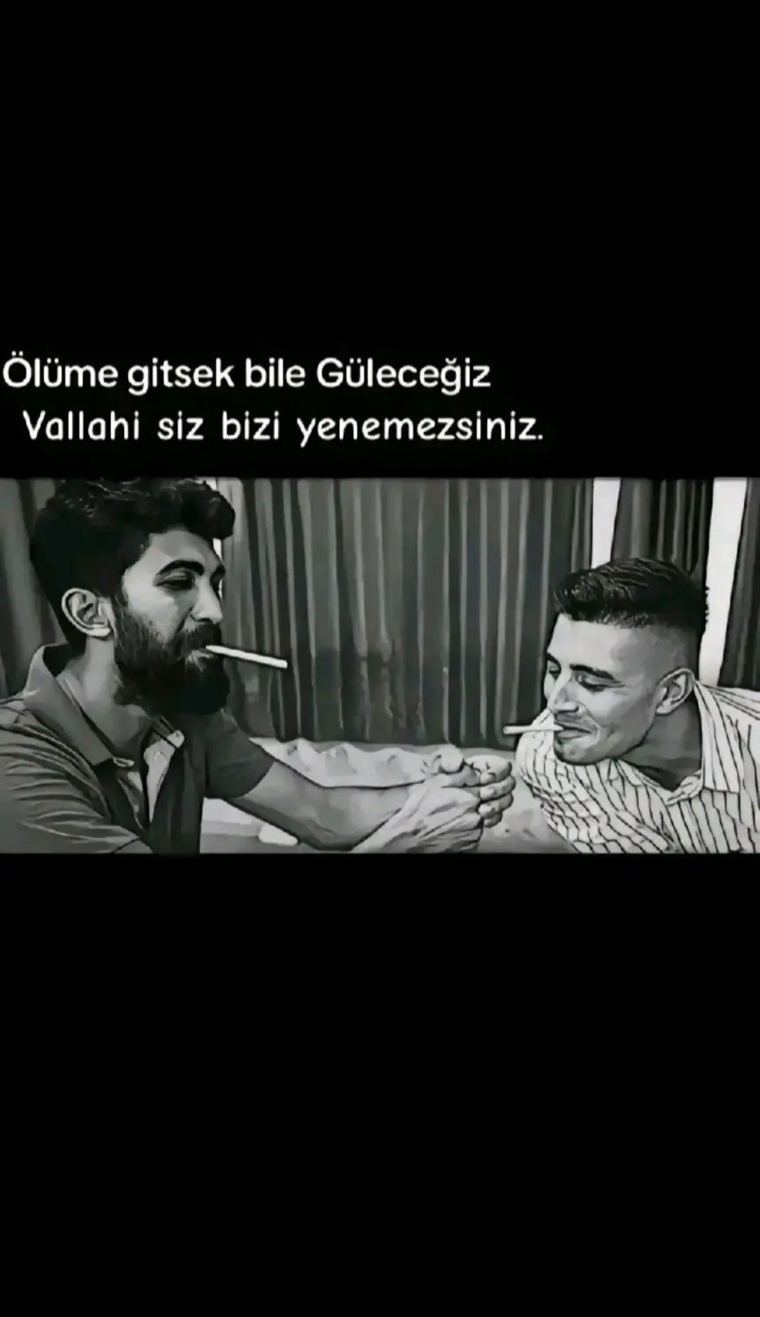 @piriev11."T.T