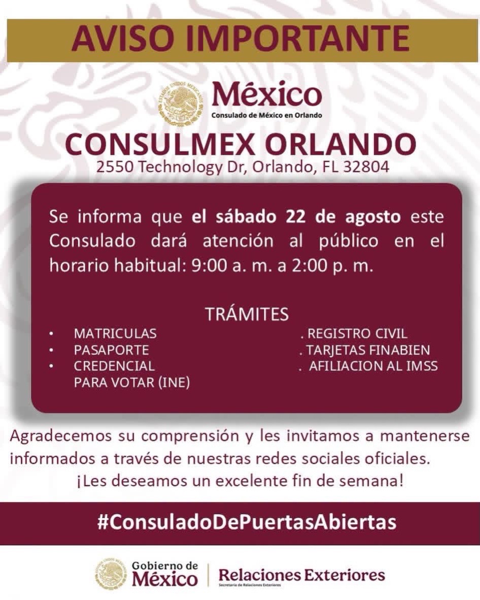 @&Aacute;guila 331