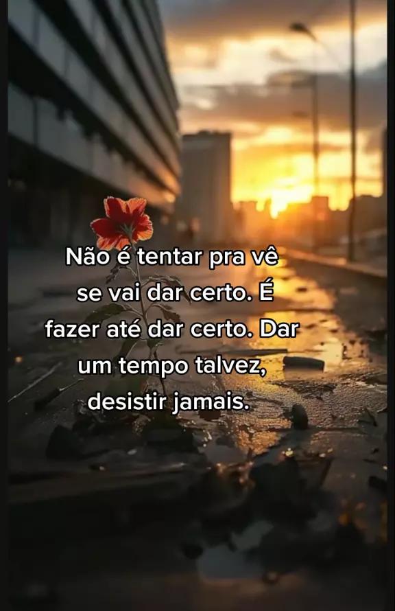 @Renato Damazio#30