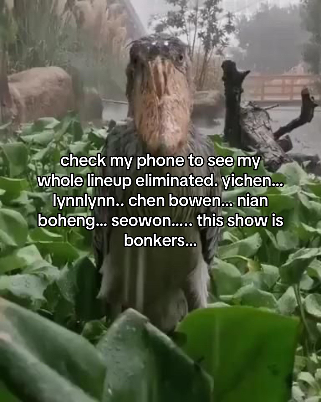 @⋆୨୧˚