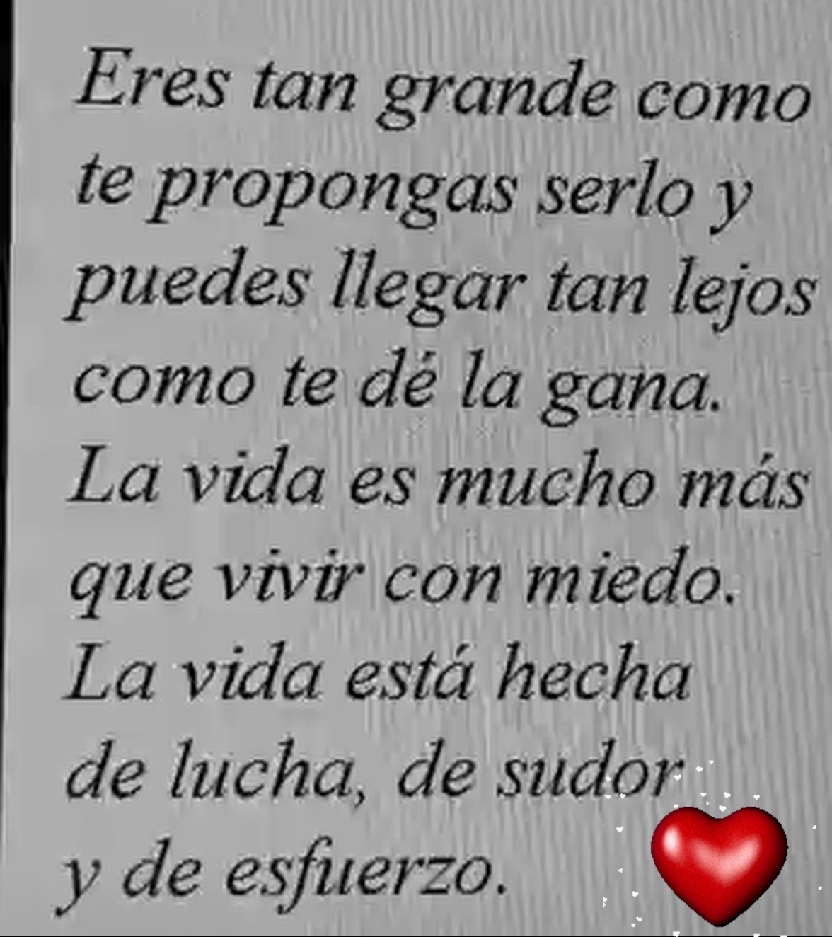 @gloriabautsta1