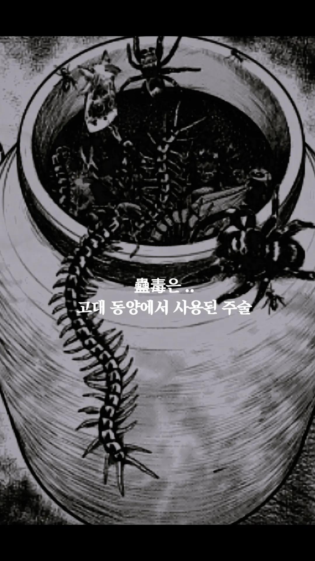 @진인사(盡人事)타로