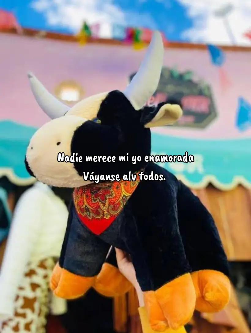 @🐝ܔܢܜܔ