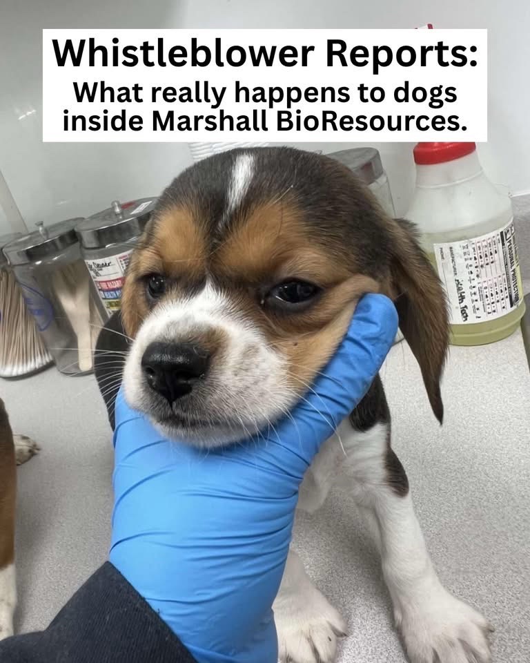 @Otis