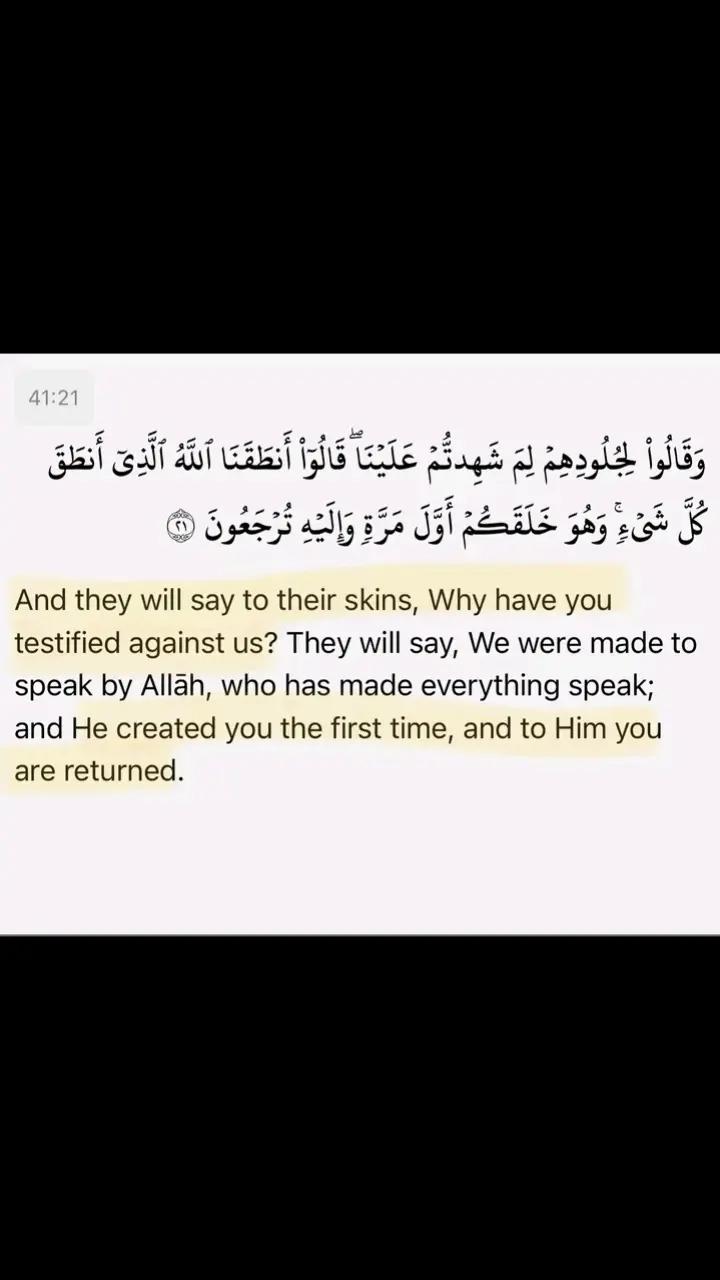 @MIKHAIL Ahmed