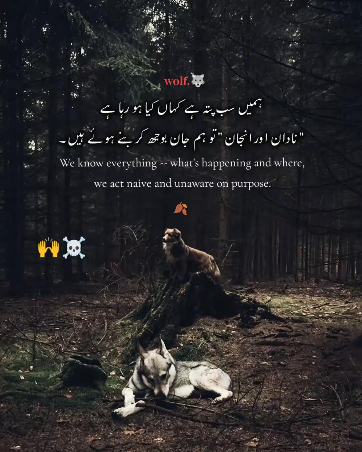 @🩹 [ اختتام علی ]💸