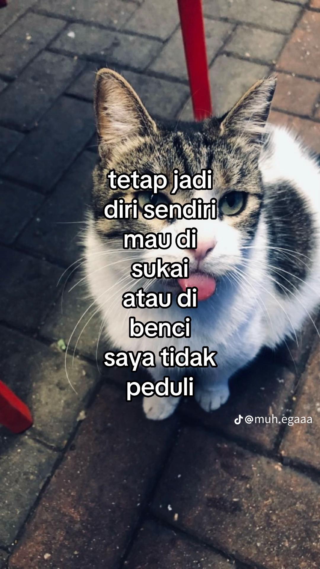 @slebewww