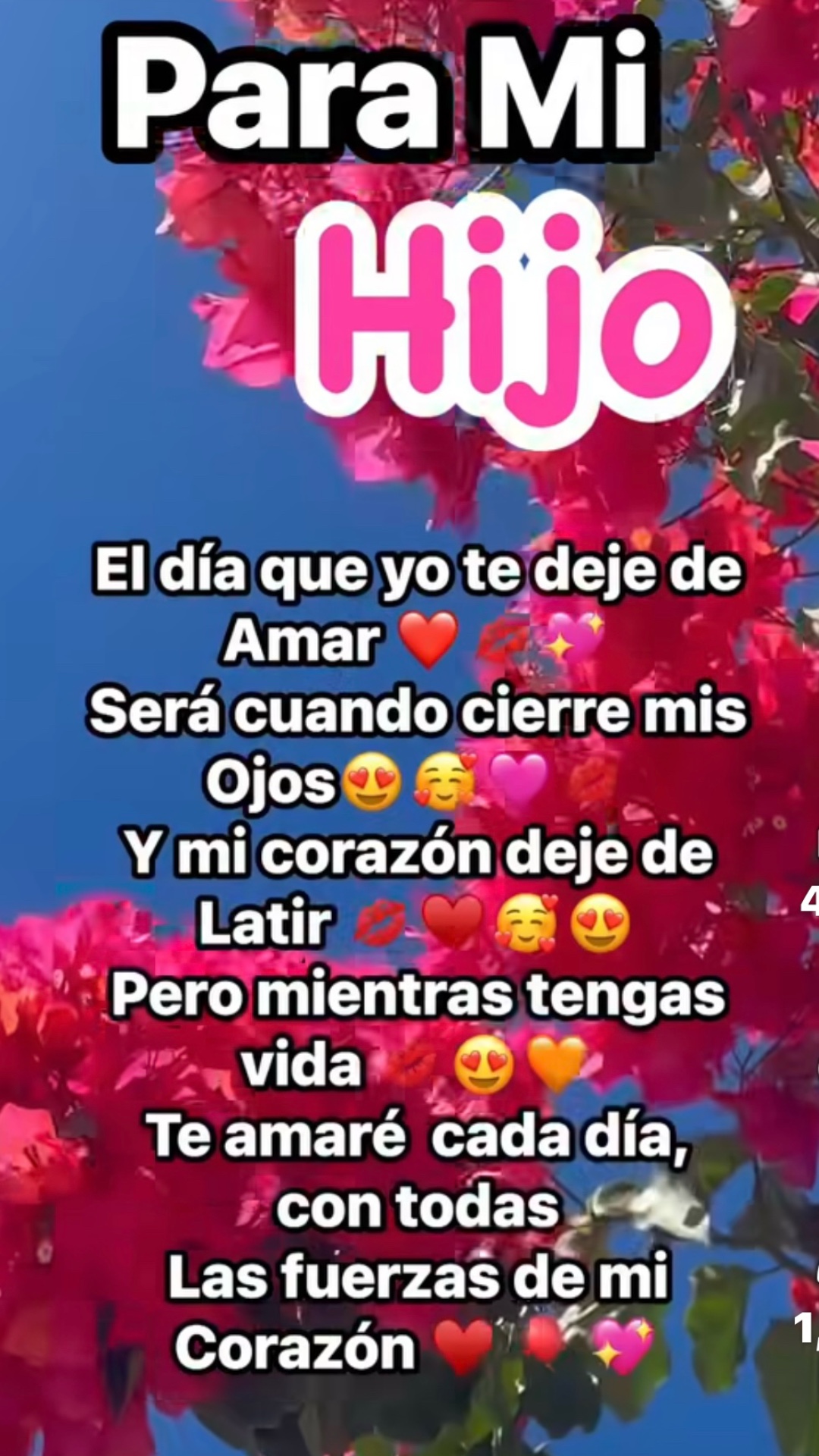 @Ailama zoñum