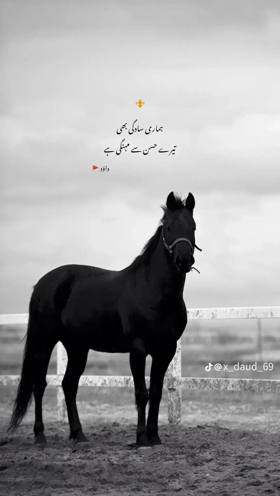 @꧁🌹💫 𝓐𝓻𝓫𝓪𝔃 𝓫𝓪𝓭𝓼꧂