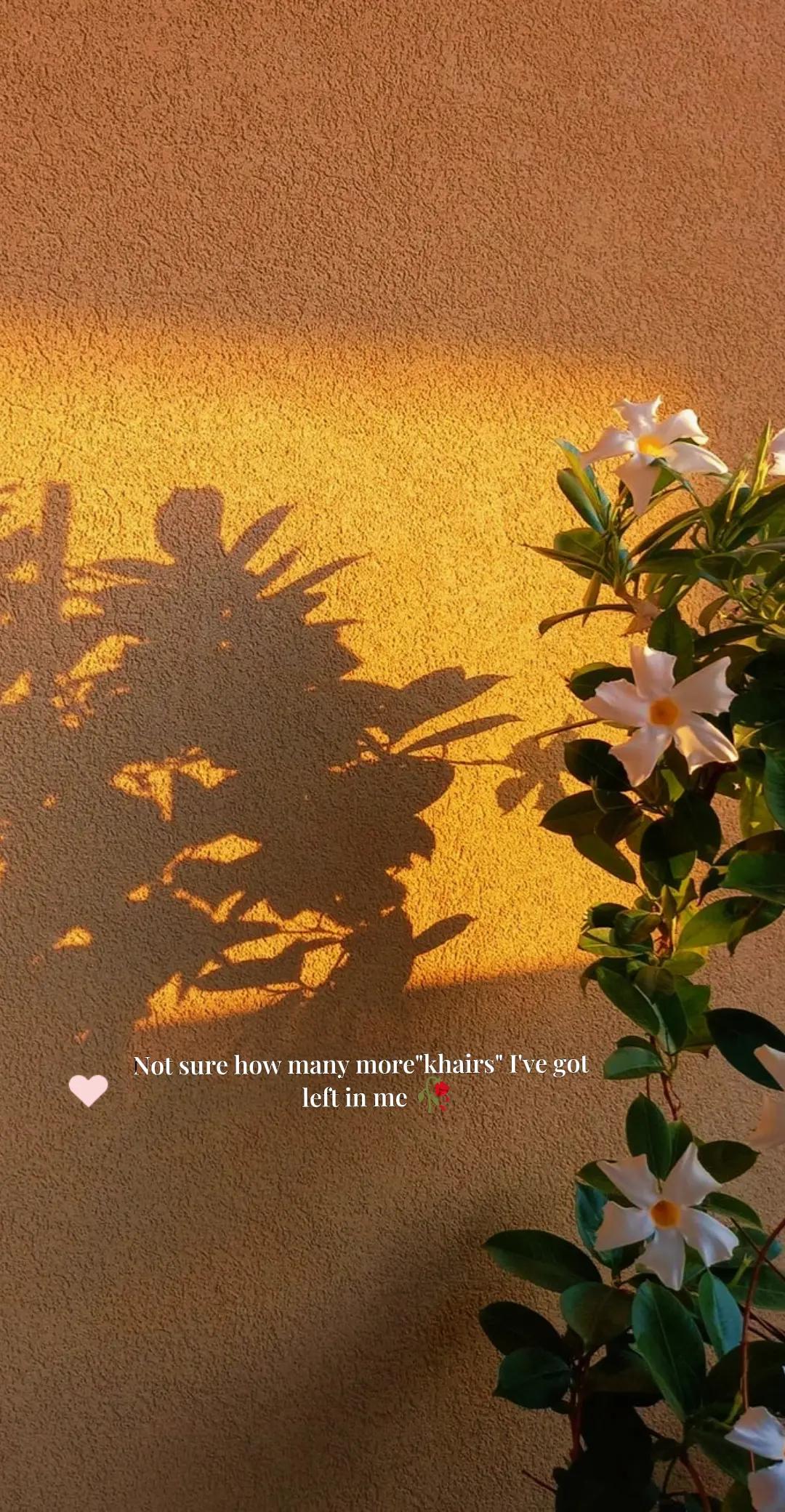 @آفرین🌙🌻