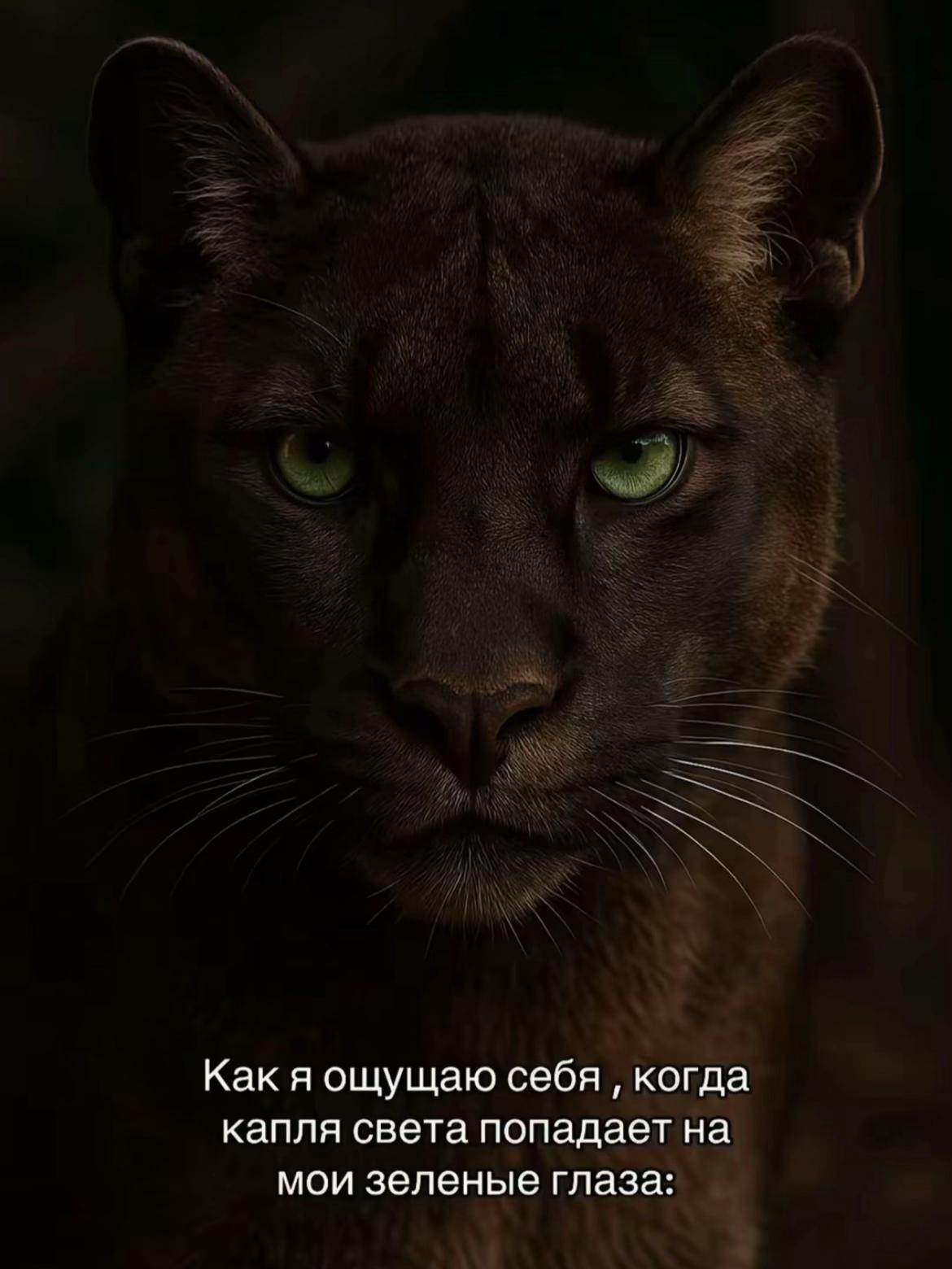 @ТГК:femme fatale