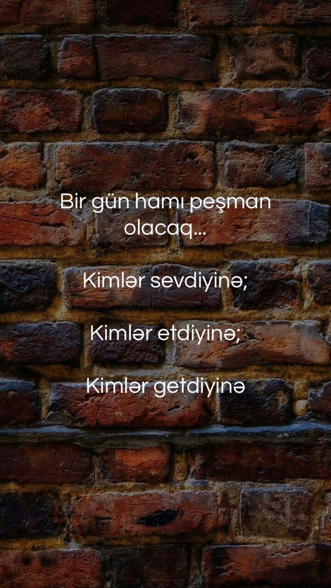 @musiqi_qidasi