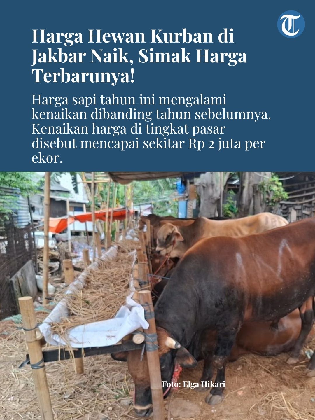 @Tribun Jakarta Official