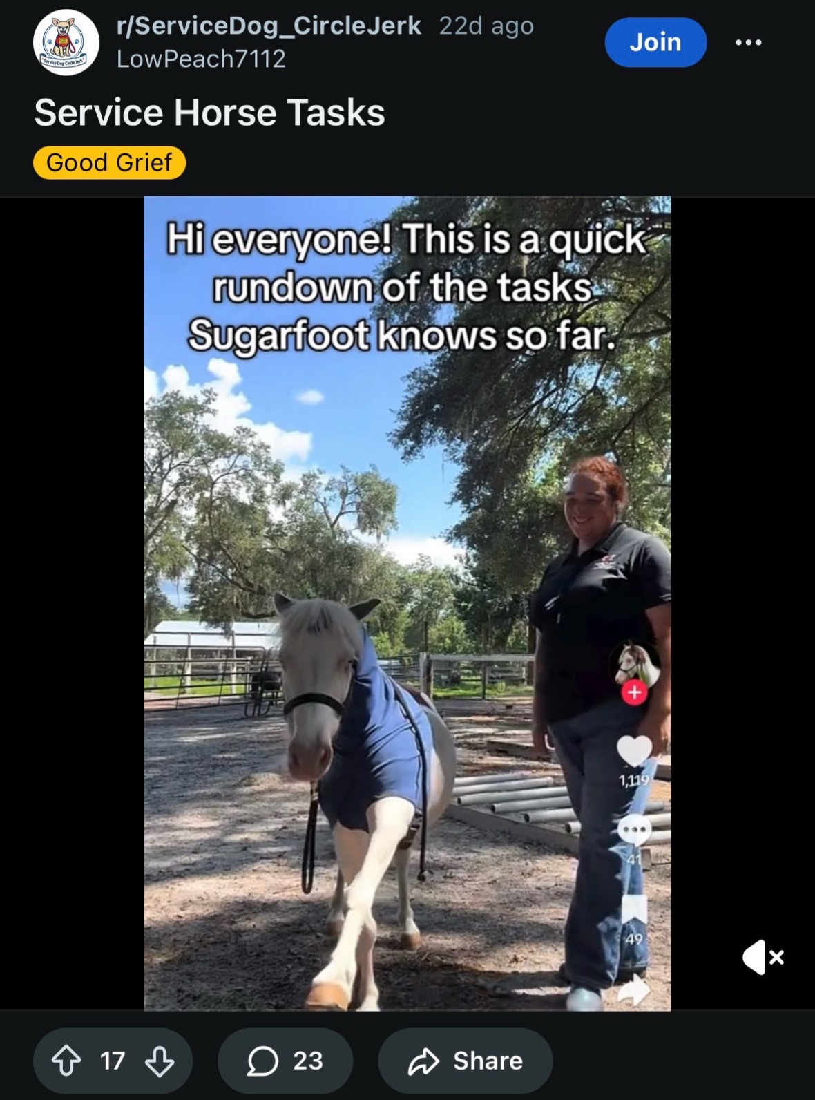 @Sugarfoot the Therapy Horse