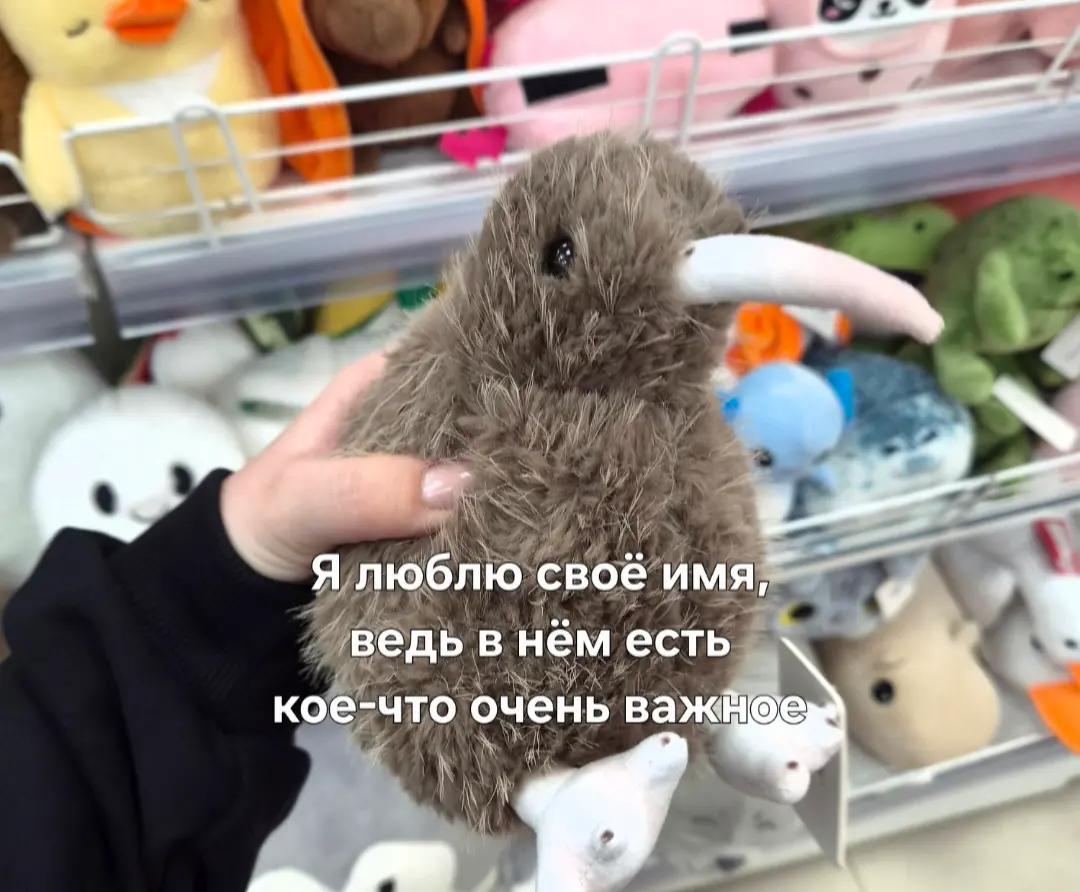 @ꨄ𝒶𝓃.𝓃𝓌𝓌 ꨄ